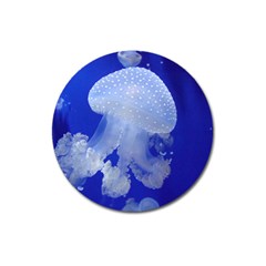 Spotted Jellyfish Magnet 3  (round) by trendistuff