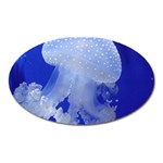 SPOTTED JELLYFISH Oval Magnet