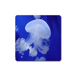 SPOTTED JELLYFISH Square Magnet