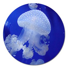 Spotted Jellyfish Magnet 5  (round) by trendistuff