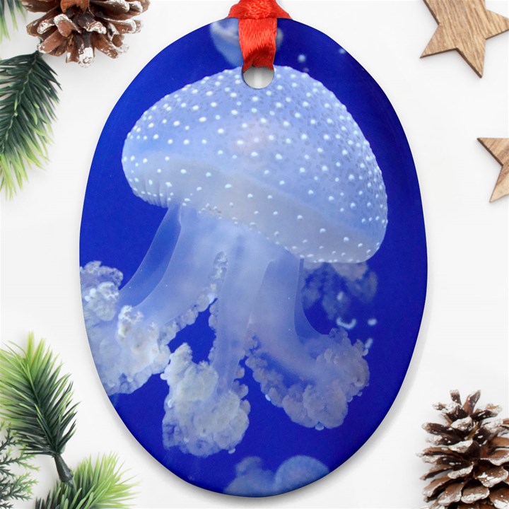 SPOTTED JELLYFISH Oval Ornament (Two Sides)