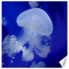 Spotted Jellyfish Canvas 20  X 20   by trendistuff