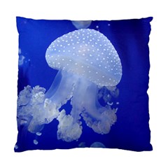 Spotted Jellyfish Standard Cushion Case (two Sides) by trendistuff