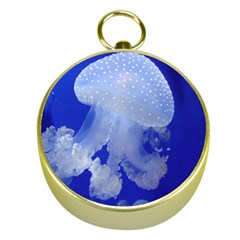 Spotted Jellyfish Gold Compasses by trendistuff