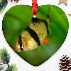 Tiger Barb Ornament (heart) by trendistuff