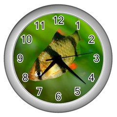 Tiger Barb Wall Clocks (silver)  by trendistuff