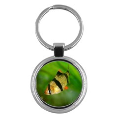 Tiger Barb Key Chains (round)  by trendistuff