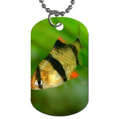 Tiger Barb Dog Tag (two Sides) by trendistuff