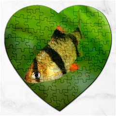 Tiger Barb Jigsaw Puzzle (heart) by trendistuff