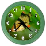 TIGER BARB Color Wall Clocks Front