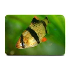 Tiger Barb Plate Mats by trendistuff