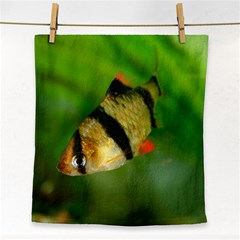 Tiger Barb Face Towel by trendistuff