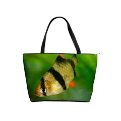 Tiger Barb Shoulder Handbags by trendistuff