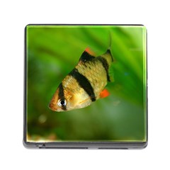 Tiger Barb Memory Card Reader (square) by trendistuff