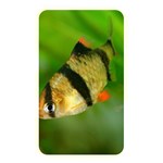 TIGER BARB Memory Card Reader Front