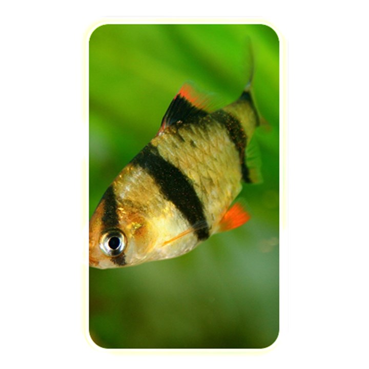 TIGER BARB Memory Card Reader