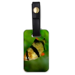 Tiger Barb Luggage Tags (one Side)  by trendistuff