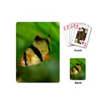 TIGER BARB Playing Cards (Mini)  Back