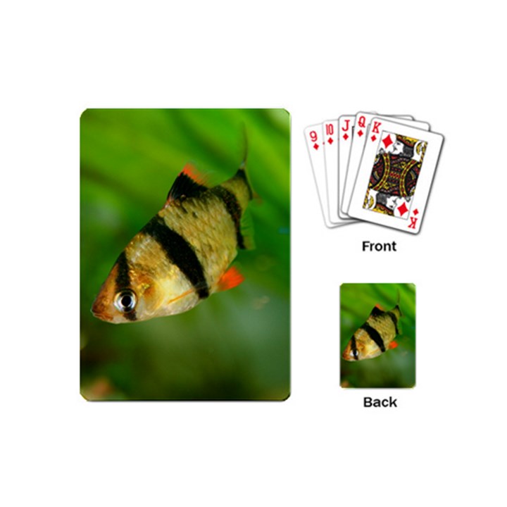 TIGER BARB Playing Cards (Mini) 