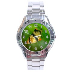 Tiger Barb Stainless Steel Analogue Watch by trendistuff