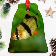 Tiger Barb Ornament (bell) by trendistuff