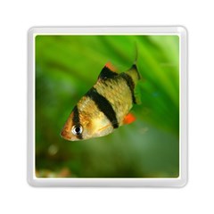 Tiger Barb Memory Card Reader (square)  by trendistuff