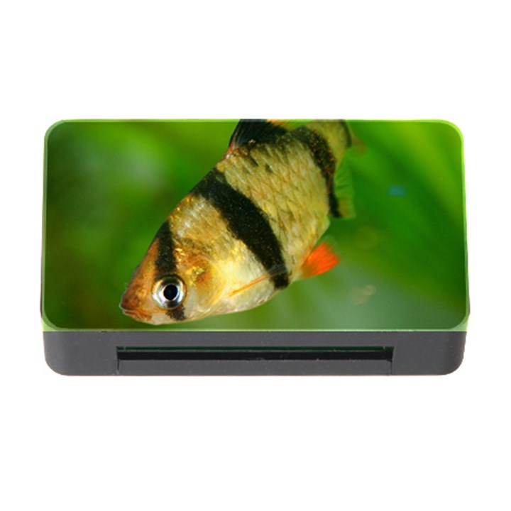 TIGER BARB Memory Card Reader with CF