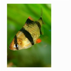 Tiger Barb Small Garden Flag (two Sides) by trendistuff