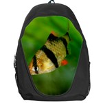 TIGER BARB Backpack Bag Front