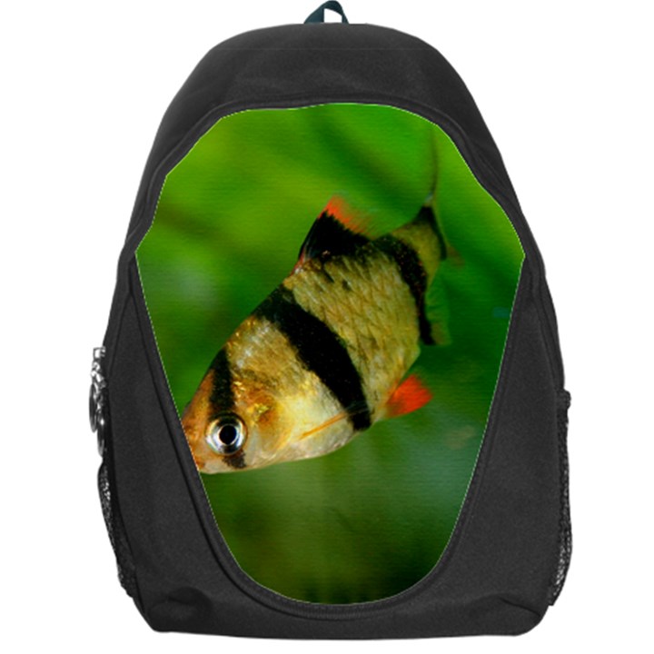 TIGER BARB Backpack Bag