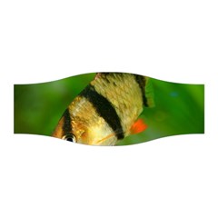 Tiger Barb Stretchable Headband