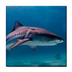 Tiger Shark 1 Tile Coasters by trendistuff