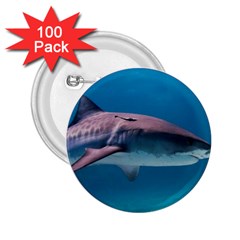 Tiger Shark 1 2 25  Buttons (100 Pack)  by trendistuff