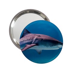 Tiger Shark 1 2 25  Handbag Mirrors by trendistuff