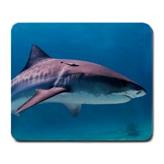 Tiger Shark 1 Large Mousepads by trendistuff