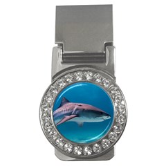 Tiger Shark 1 Money Clips (cz)  by trendistuff