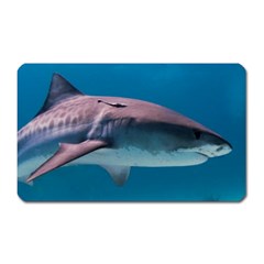 Tiger Shark 1 Magnet (rectangular) by trendistuff