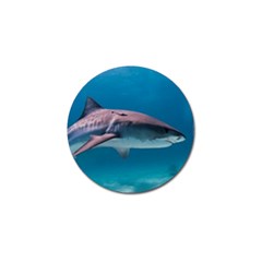 Tiger Shark 1 Golf Ball Marker (4 Pack) by trendistuff