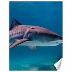 Tiger Shark 1 Canvas 18  X 24   by trendistuff