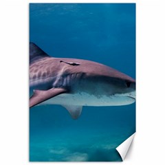 Tiger Shark 1 Canvas 24  X 36  by trendistuff