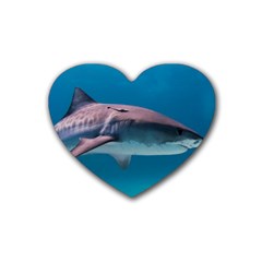 Tiger Shark 1 Rubber Coaster (heart)  by trendistuff