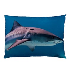 Tiger Shark 1 Pillow Case by trendistuff