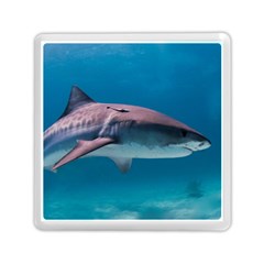 Tiger Shark 1 Memory Card Reader (square)  by trendistuff