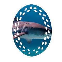 Tiger Shark 1 Ornament (oval Filigree)