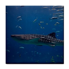 Whale Shark 1 Tile Coasters by trendistuff