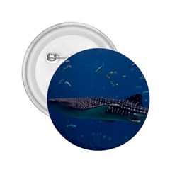 Whale Shark 1 2 25  Buttons by trendistuff