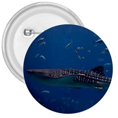 Whale Shark 1 3  Buttons by trendistuff