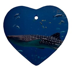 Whale Shark 1 Ornament (heart) by trendistuff