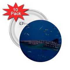 Whale Shark 1 2 25  Buttons (10 Pack)  by trendistuff