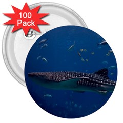 Whale Shark 1 3  Buttons (100 Pack)  by trendistuff